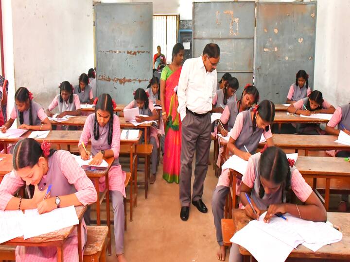 Tamil Nadu 12th Result 2023 Mayiladuthurai district 90 percentage students pass TNN TN 12th Result 2023: 12ம் வகுப்பு பொதுத்தேர்வு முடிவுகள் - மயிலாடுதுறை மாவட்ட நிலவரம் இதுதான்!