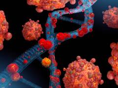 पाकिस्तान में एक और मुश्किल, कांगो वायरस का खतरा, पिछले 10 दिनों में हुई इतने लोगों की मौत