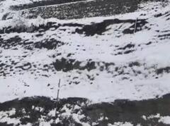 In Pics: ਹਿਮਾਚਲ ਪ੍ਰਦੇਸ਼ 'ਚ ਭਾਰੀ ਮੀਂਹ ਅਤੇ ਬਰਫ਼ਬਾਰੀ ਕਰਕੇ ਤਾਪਮਾਨ 'ਚ ਆਈ ਗਿਰਾਵਟ, ਵੇਖੋ ਤਸਵੀਰਾਂ