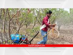 शेतकऱ्याच्या पाठीवरचं ओझं कमी करणारा शोध; युवकाने बनवला पोर्टेबल स्प्रे पंप