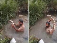 पानी में डुबकी लगा शख्स ने नंगे हाथों पकड़ी मछली, ऐसा टैलेंट बहुत कम देखने को मिलता है....!