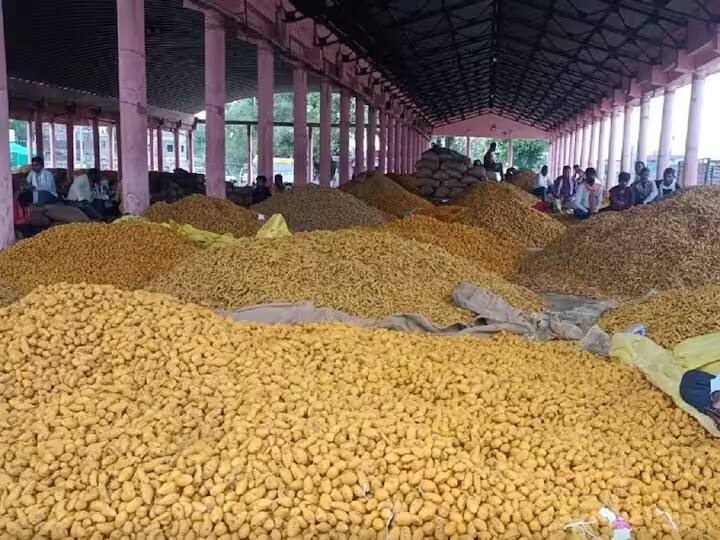 Nanded News Record  arrival of turmeric in Nanded Bazar Samiti 20 thousand kattas in a single day Nanded: नांदेड बाजार समितीत हळदीची विक्रमी आवक; एकाच दिवसात 20 हजार कट्टे,  प्रथमच मोजण्यासाठी लागले दोन दिवस