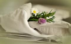 চুল আর ত্বকের সমস্যায় ভুগছেন? এই ভেষজের গুণে নিমেষে সমাধান মিলবে