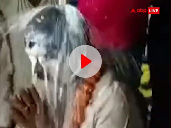 UP Nikay Chunav 2023 baghpat BSP candidate mukesh upadhyay bathed with milk video ann Watch: बागपत में फिल्म 'नायक' के अनिल कपूर की तरह बसपा प्रत्याशी को दूध से नहलाया, देखें वीडियो