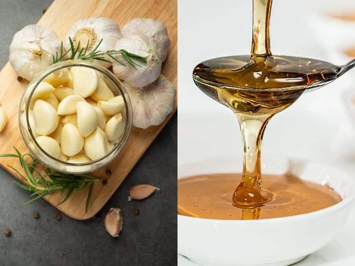 Eat Honey And Garlic Daily On Empty Stomach You Will Get Shocking Benefits Honey Garlic Benefits: रोजाना खाली पेट खाएं शहद और लहसुन, कई रोग होंगे दूर, स्वास्थ्य को मिलेंगे चौंकाने वाले फायदे