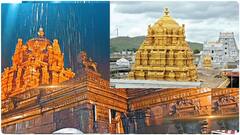 Tirumala Ananda Nilayam TTD Serious: సీసీ కెమెరాలను పరిశీలిస్తున్న విజిలెన్స్, పోలీసులు