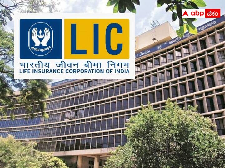 LIC Holding 273 stocks and 10 lakh crores portfolio in indian stock market LIC Holdings: ఎల్‌ఐసీ దగ్గరున్న 273 స్టాక్స్‌లో 12 సూపర్‌స్టార్‌లు, ఈ ఏడాది విపరీతమైన లాభాలు