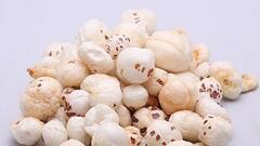 Makhana Side Effects: ઘીમાં શેકીને નહી.. આ રીતે ખાવા જોઈએ મખાના! અન્યથા થઈ શકે છે પેટની ગંભીર બીમારી