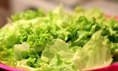Lettuce Benefits: সুস্থ থাকার সহজ উপায়, ত্বক, চুল থেকে হৃদযন্ত্রের স্বাস্থ্যও রক্ষা করে লেটুস