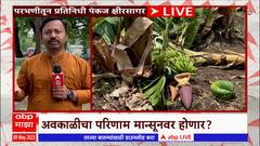 Maharashtra Unseasonal Rain : अवकाळी पावसामुळे राज्यभरात पिकांचं नुकसान, पेरण्या लांबणीवर?