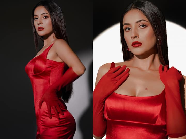 Shehnaaz Gill impressed all in a red hot dress. Shehnaaz shared pictures of the same on her official Instagram handle.