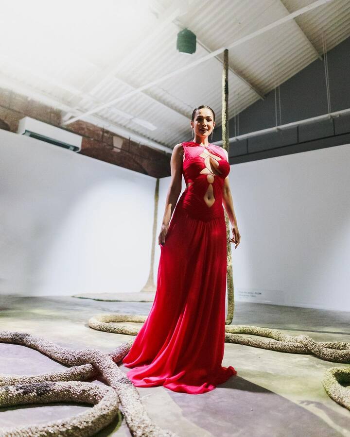 इन तस्वीरों में मलाइका ने फ्रंट कट रेड कलर का लॉन्ग गाउन पहना हुआ है. जिसमें एक्ट्रेस काफी गॉर्जियस लग रही हैं.