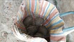 ফের স্কুলের সামনে থেকে ব্য়াগ ভর্তি বোমা উদ্ধার