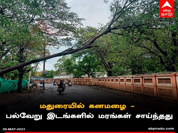 Madurai Rain: மதுரையை மிரட்டிய மழை..! சூறாவளி காற்று... 50க்கும் மேற்பட்ட இடங்களில் முறிந்த மரங்கள்..!