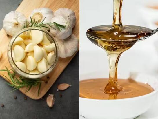 eat-honey-and-garlic-daily-on-empty-stomach-you-will-get-shocking-benefits Honey Garlic Benefits: ਰੋਜ਼ ਖਾਲੀ ਪੇਟ ਖਾਓ ਸ਼ਹਿਦ ਤੇ ਲਸਣ, ਕਈ ਰੋਗ ਰਹਿਣਗੇ ਦੂਰ, ਸਿਹਤ ਨੂੰ ਹੋਣਗੇ ਇਹ ਫਾਇਦੇ