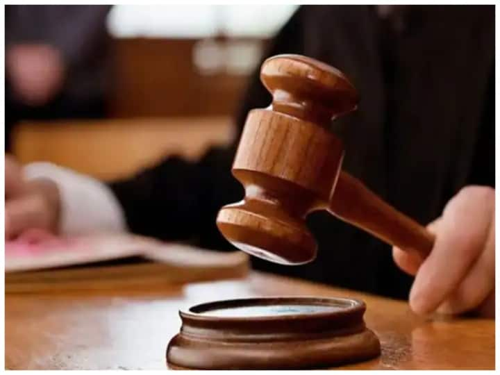 army man martyrs widow had to seek justice in court punjab government fined 5 lakhs Punjab News: शहीद की विधवा को बार-बार लगाने पड़ा अदालत के चक्कर तो HC ने लगाई फटकार,  5 लाख का जुर्माना