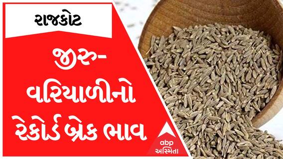 Jeera Price : રાજકોટ માર્કેટિંગ યાર્ડમાં બોલાયા જીરુ-વરિયાળીના રેકોર્ડબ્રેક ભાવ, જુઓ વીડિયો