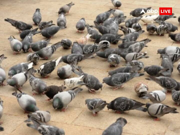 उपाय - वटवृक्ष की जड़ में मीठा दूध चढ़ाएं. अपने पास सदैव चांदी रखें, अंधजनों या जिनकी एक आंख हो उनसे दूरी बनाएं रखें तथा चिड़ियों को दाना डालें.