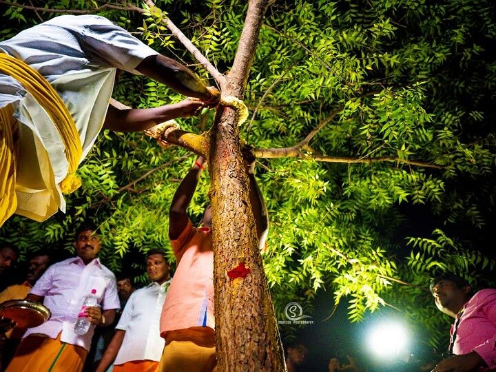 Karur Local Holiday: கரூர் மாவட்டத்திற்கு வரும் 31ஆம் தேதி உள்ளூர் விடுமுறை - மாவட்ட நிர்வாகம் அறிவிப்பு