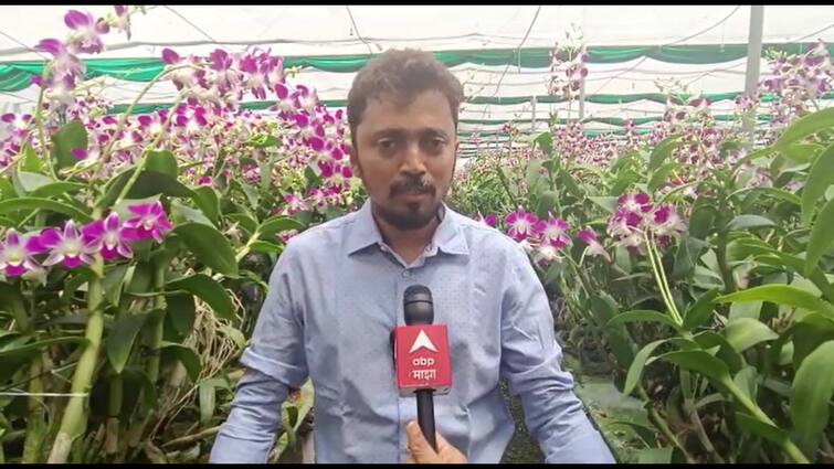 Palghar News Income of Lakhs to Engineer  orchid Flower Farming Palghar News: बँकॉकचे ऑर्किड फुलले पालघरमध्ये,  इंजिनिअर तरुणाचा फुल शेतीची यशस्वी प्रयोग