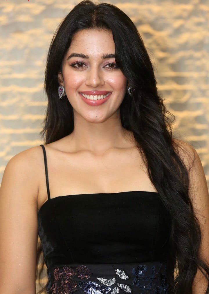 பாண்டிச்சேரியில் பிறந்த மிருணாளினி ரவி, பெங்களூரில் எலக்ட்ரானிக்ஸ் மற்றும் கம்யூனிகேஷன் துறையில் இளங்கலை பட்டம் பெற்றார். அவர் பெங்களூரில் ஐபிஎம்மில் மென்பொருள் நிபுணராக பணிபுரிந்தார். பின்னர் முழுநேரமாக நடிகையாக தன் பயணத்தை தொடங்கினார்.