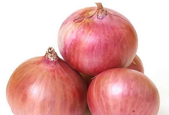 कांद्याच्या दरात (onion Price)  मोठी घसरण झाली आहे.