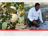 Farmer Success Stories: कुसेगाव येथील शेतकऱ्याने केली खरबूजाची शेती; 18 गुंठ्यांत दीड लाखाचं उत्पन्न