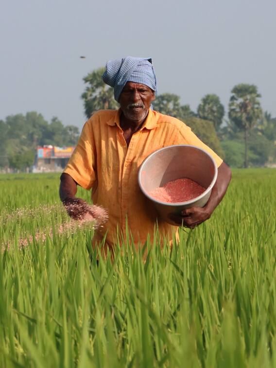 कैसे पहचानें खाद असली है या नकली?