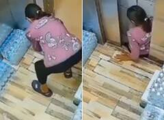 Video: ਖੁਦ ਦੀ ਗਲਤੀ ਨਾਲ ਲਿਫਟ 'ਚ ਫਸੀ ਮਹਿਲਾ, ਜਦੋਂ ਲਿਫਟ ਰੁਕੀ ਤਾਂ ਗੇਟ ਖੋਲ੍ਹ ਕੇ ਕੁੱਦਣ ਲੱਗੀ!