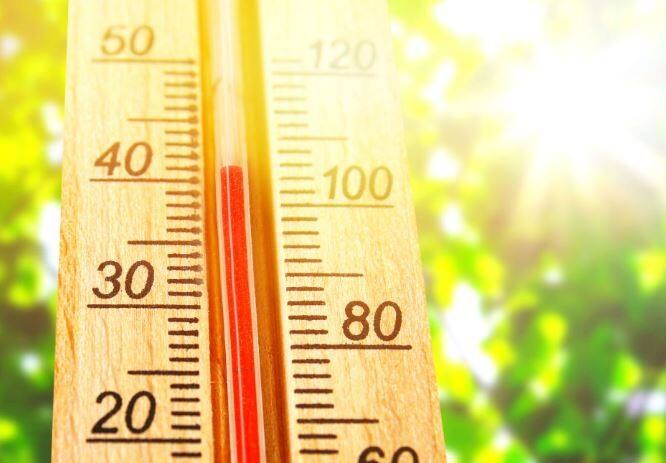 देशातील वातावरणात सातत्यानं बदल (Climete change) होत आहे. कधी उन्हाचा चटका तर कधी अवकाळी पाऊस (Unseasonal Rain ) पडत आहे.