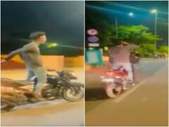 फुल स्पीड में चल रही थी बाइक... फिर स्टंट करते हुए इस अंदाज में खाया गुटखा! अरेस्ट