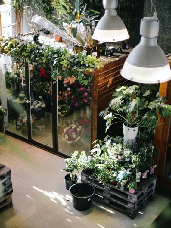 छोटी जगह में ऐसे बनाएं किचन गार्डन