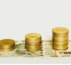 ਕੀ ਇਹ ਹੈ PPF ਦੀ ਖਾਮੀ ? ਸਮੇਂ ਤੋਂ ਪਹਿਲਾਂ ਕਢਵਾਉਣ ਲਈ ਲੋੜੀਂਦੀਆਂ ਸ਼ਰਤਾਂ ਪੜ੍ਹੋ