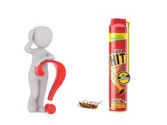 सिर कटने के बाद भी हफ्तों तक जिंदा रहता है कॉकरोच, फिर Hit स्प्रे छिड़कते ही क्यों मर जाता है?