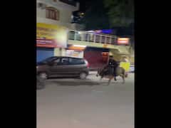 Drunk Man Rides Bull At Night In Rishikesh In Viral Video, Apologises Later. Watch