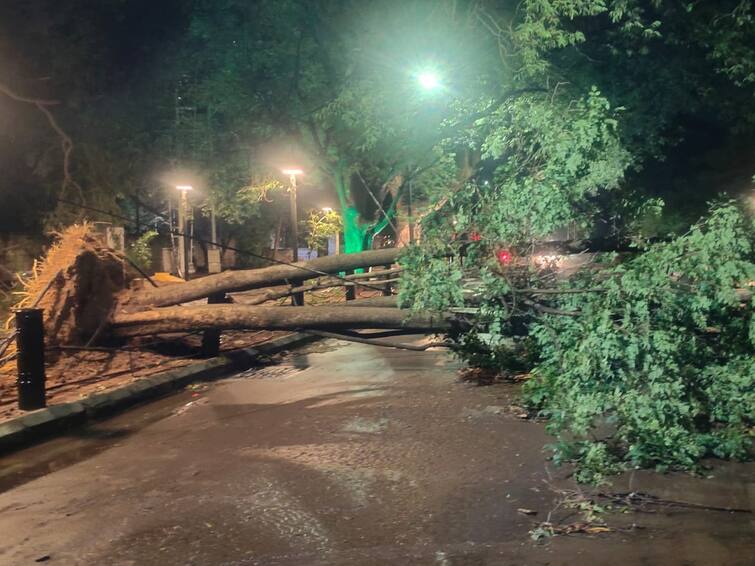 Heavy rains in Coimbatore caused people to suffer as roads were flooded with water கோவையில் கொட்டித் தீர்த்த கனமழை; சாலைகளில் தேங்கிய வெள்ளநீர்; வேரோடு சாய்ந்த மரங்கள் - மக்கள் அவதி