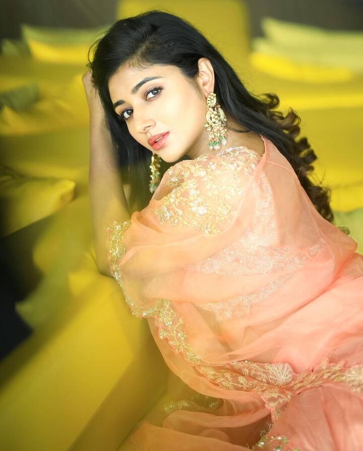 మిర్నా మీనన్ అందమైన ఫోటోలు.