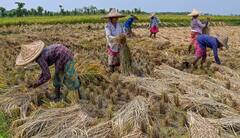 WB Heat Wave Forecast:ফের চড়ছে পারদ, আপাতত নেই বৃষ্টির সম্ভাবনা, দক্ষিণবঙ্গ জুড়ে তাপপ্রবাহের সতর্কতা