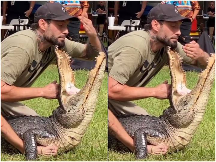 Viral Video Users called Khatron ka khiladi to a person showing tricks with crocodile as a player of danger मगरमच्छ के साथ करतब दिखा रहा था शख्स, मगर सिर्फ एक सेकंड की देर हो जाती तो गर्दन कट जाती