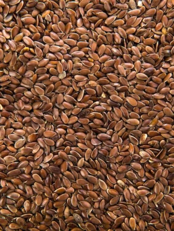 अलसी के बीज के अनेक फायदे