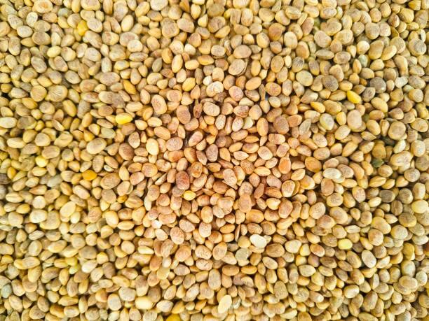 சாரப்பருப்பு இயற்கையிலேயே உடலுக்கு குளிர்ச்சியைத் தரும் ஒரு உணவு பொருளாகும்.இதை சருமத்தில் மேற்புறம் எவ்வாறு பயன்படுத்துகிறோமோ.அதே போல உணவாகவும்,அடிக்கடி உட்கொள்ள வேண்டும்.