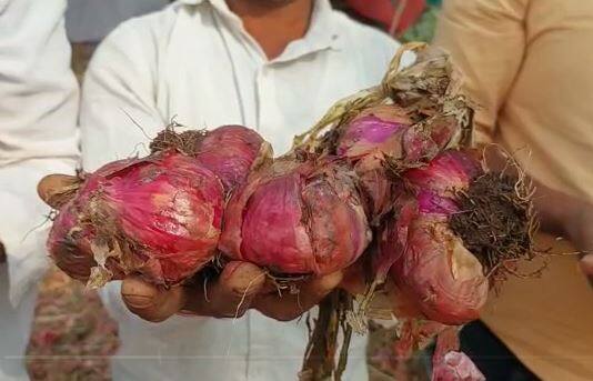 बदलत्या वातावरणाचा शेती पिकांना मोठा फटका बसला आहे.