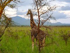 सूरत में बनेगा एशिया का सबसे बड़ा पार्क, 9 किलोमीटर का वॉकिंग ट्रैक, लगेंगे 6 लाख पौधे
