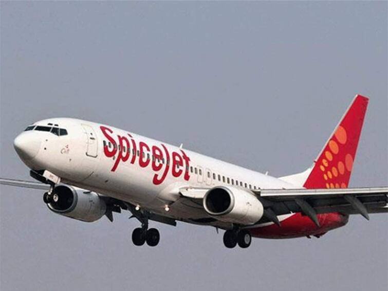 Spice Jet says no plans to seek insolvency proceedings starts process to revive grounded planes SpiceJet: விமான பயணிகளே திவால் ஆகிறதா ஸ்பைஸ்ஜெட்...? நிறுவனத்தின் விளக்கம் இதுதான்..!