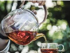 Black Tea Recipe : ਤੁਸੀਂ ਵੀ ਰੋਜ਼ਾਨਾ ਖਾਲੀ ਪੇਟ ਪੀਂਦੇ ਹੋ Black Tea , ਇਸ ਤਰੀਕੇ ਨਾਲ ਬਣਾਓ, ਤੁਰੰਤ ਦਿਖੇਗਾ ਫਾਇਦਾ