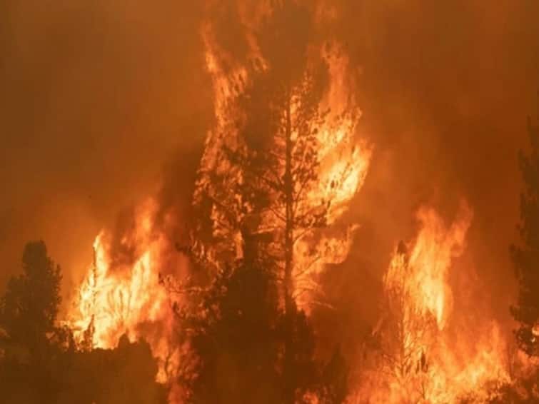wildfire death toll rises to 21 in Ural Mountains in Russia Wild Fire: ஒரு வாரத்திற்கு மேலாக தொடர்ந்து எரியும் காட்டுத் தீ: ரஷ்யாவில் உயிரிழப்பு எண்ணிக்கை 21-ஆக உயர்வு!