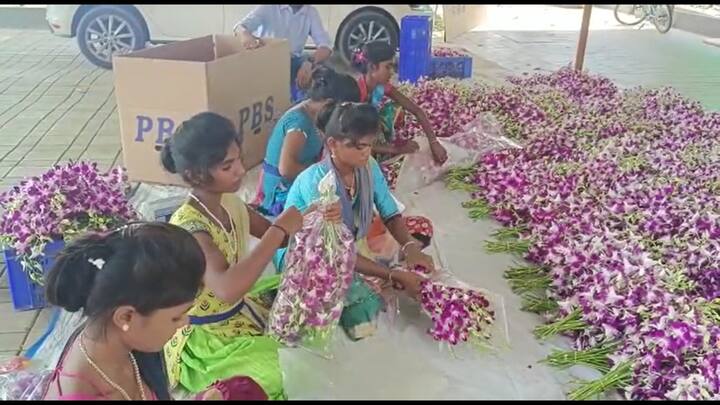 Palghar orchid Flower success Story young engineer from Palghar has ...