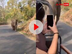 Video: जंगल सफारी पर गईं लड़कियों ने की ऐसी हरकत, देखकर भड़क गया हाथी, फिर जो हुआ...