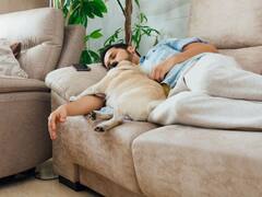 अपने पालतू कुत्ते के साथ सोया करता था शख्स, लिवर में हो गया खतरनाक ट्यूमर, डॉक्टर्स ने 'डॉग लवर्स' को दी चेतावनी