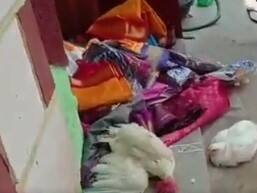 Karnataka Election 2023 BJP workers distributed saris chicken voters kept gifts outside Netaji's house on the day of voting Karnataka Election 2023: इसे कहते हैं अंडे से पहले मुर्गी का आना! वोटर्स ने बीजेपी नेता के दरवाजे पर वापस फेंका 'उपहार'